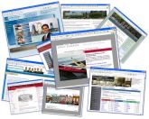 WEBSITES  FLASH E HTML